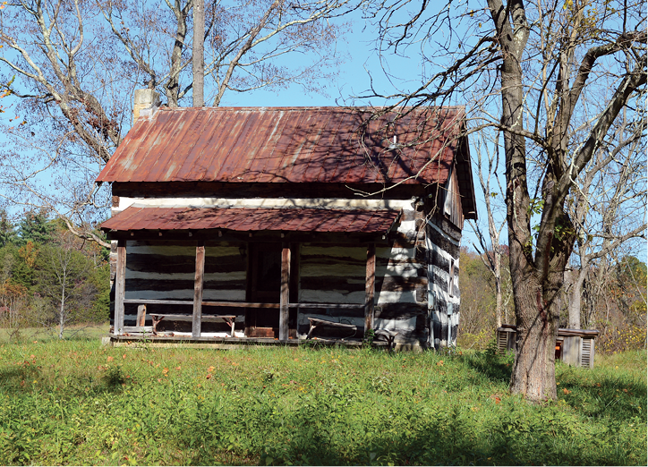 Woody Hayes old cabin sits up a hill in a wooded area in the small rural town - photo 3