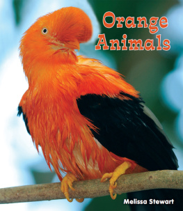 Melissa Stewart - Orange Animals