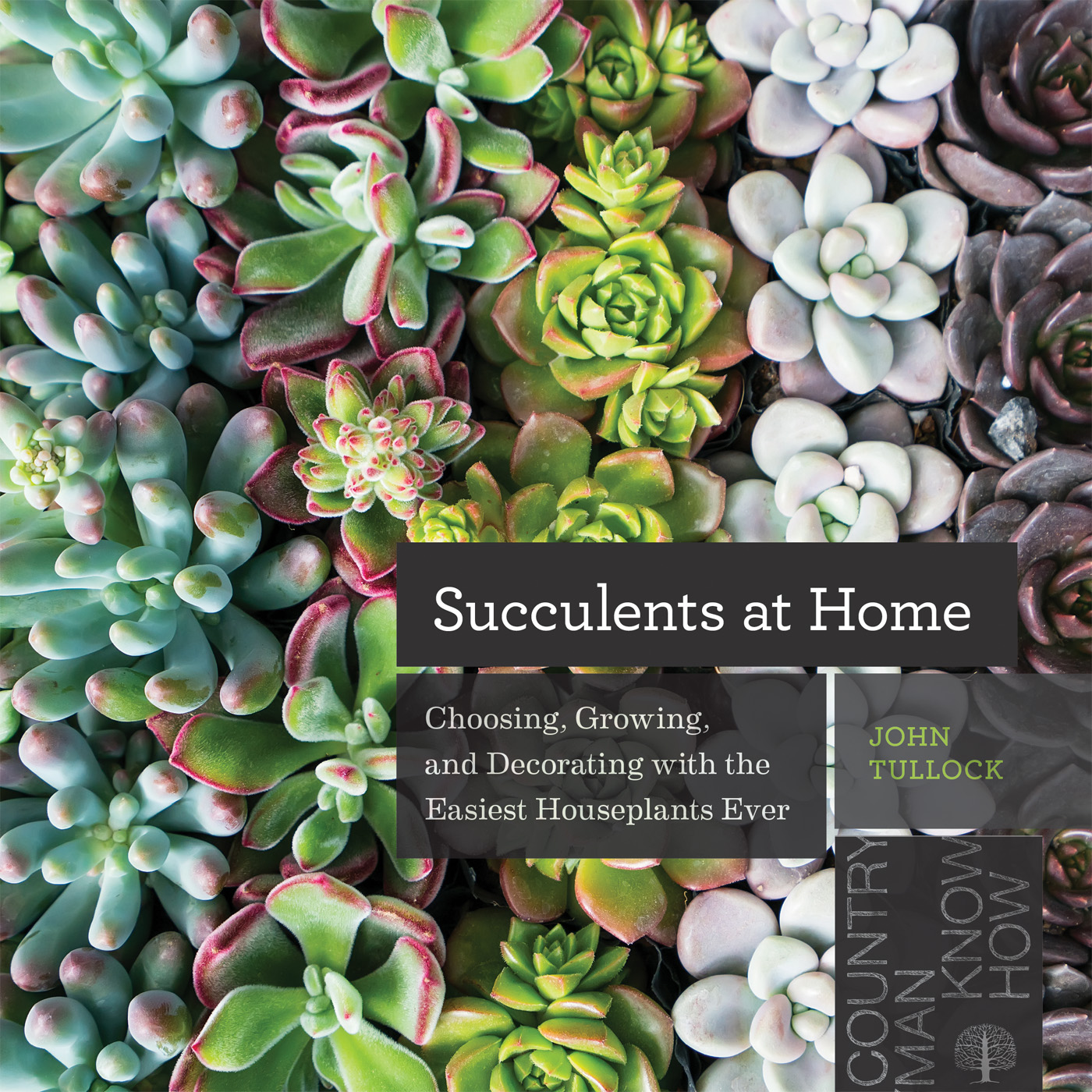 Succulents at Home Choosing Growing and Decorating with the Easiest - photo 1