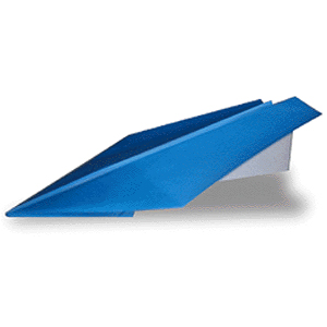 How to folding paper into a paper plane 1 Equipment- Proportion of the - photo 2