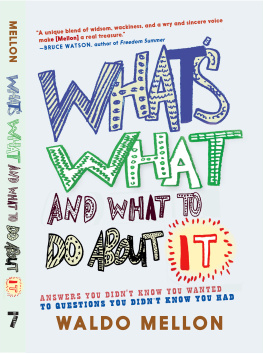 Waldo Mellon - Whats What and What to Do About It