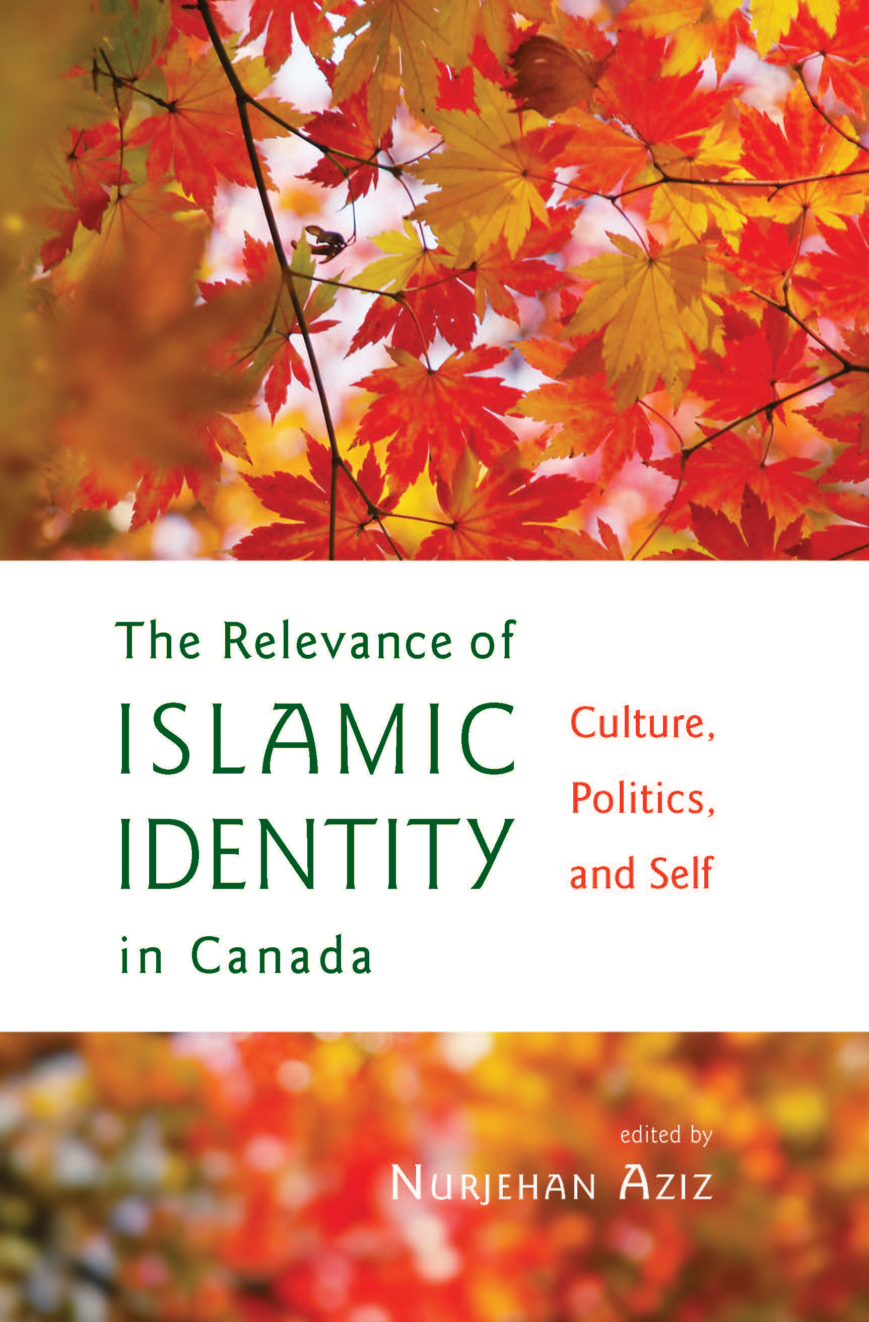 THE RELEVANCE OF ISLAMIC IDENTITY IN CANADA Culture Politics and Self - photo 1