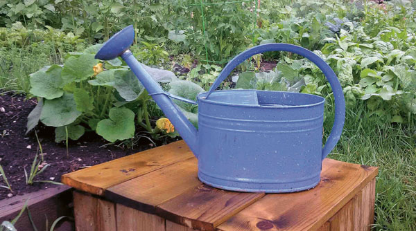 Getting the right amount of water to your plants when they need it is - photo 3