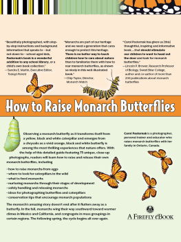 Carol Pasternak - How to Raise Monarch Butterflies: A Step-By-Step Guide for Kids