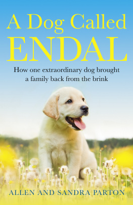 Allen Parton A Dog Called Endal: How one extraordinary dog brought a family back from the brink