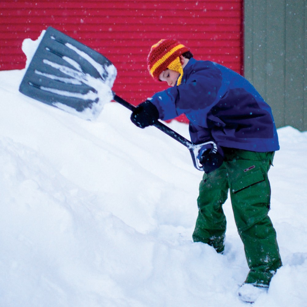 Bobby has 50 he earned from shoveling snow If he adds that to 315 he has in - photo 6