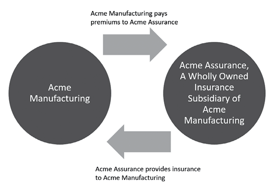 I first encountered captive insurance in graduate school when I read the UPS - photo 2