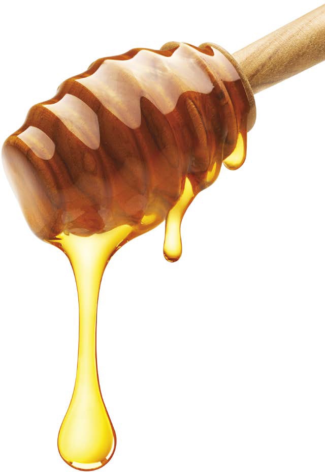 It takes 12 bees all their lives to make a single teaspoon of honey - photo 4