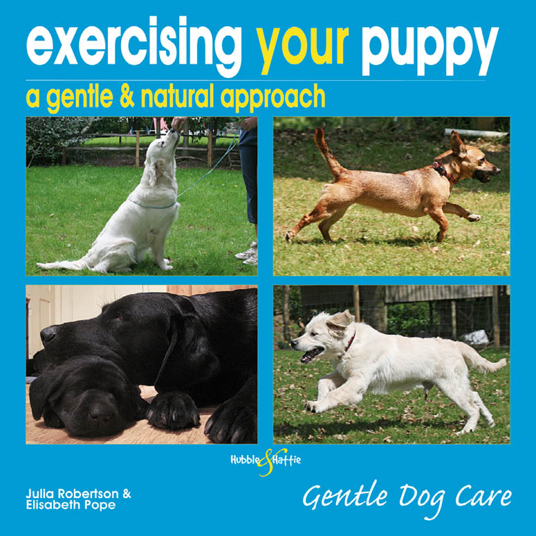 exercising your puppy a gentle natural approach Julia Robertson Elisabeth - photo 1