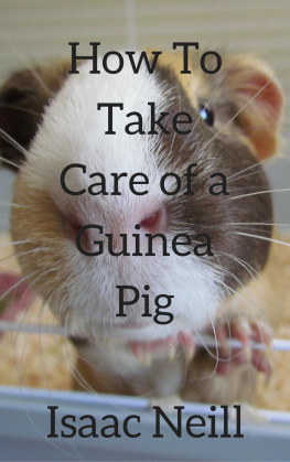 Isaac Neill How to Take Care of a Guinea Pig