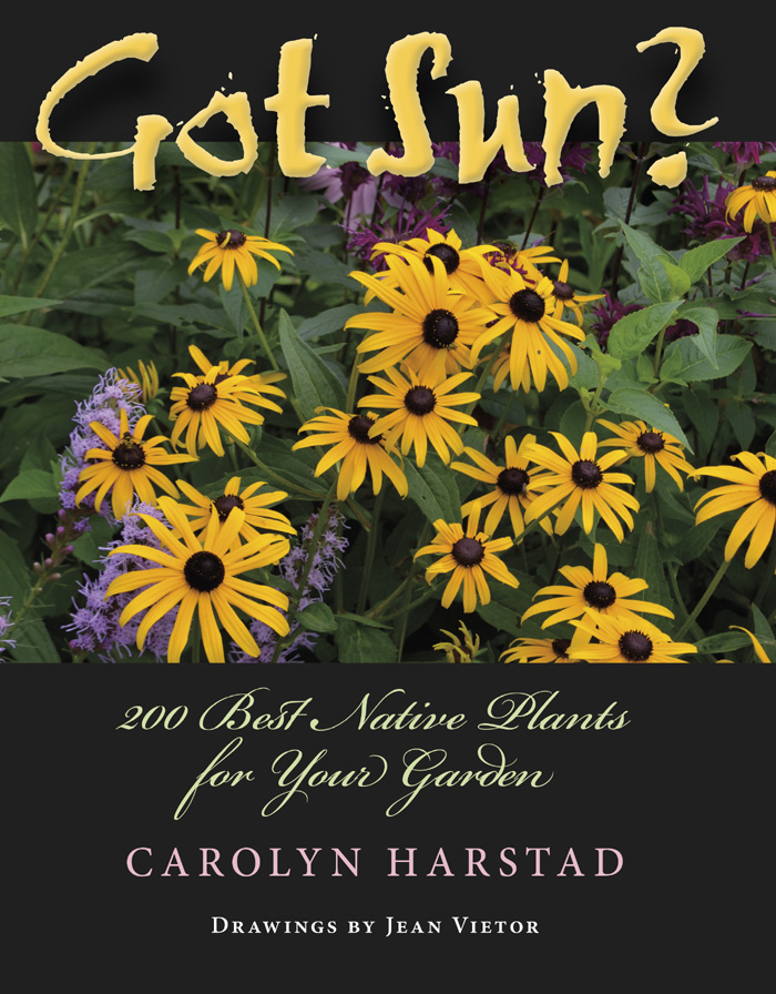 Got Sun Got Sun 200 Best Native Plants for Your Garden CAROLYN HARSTAD - photo 1