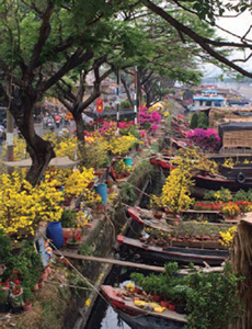 A Travelogue of Vietnam C L Hoang Rain Falling on Tamarind Trees by C - photo 1