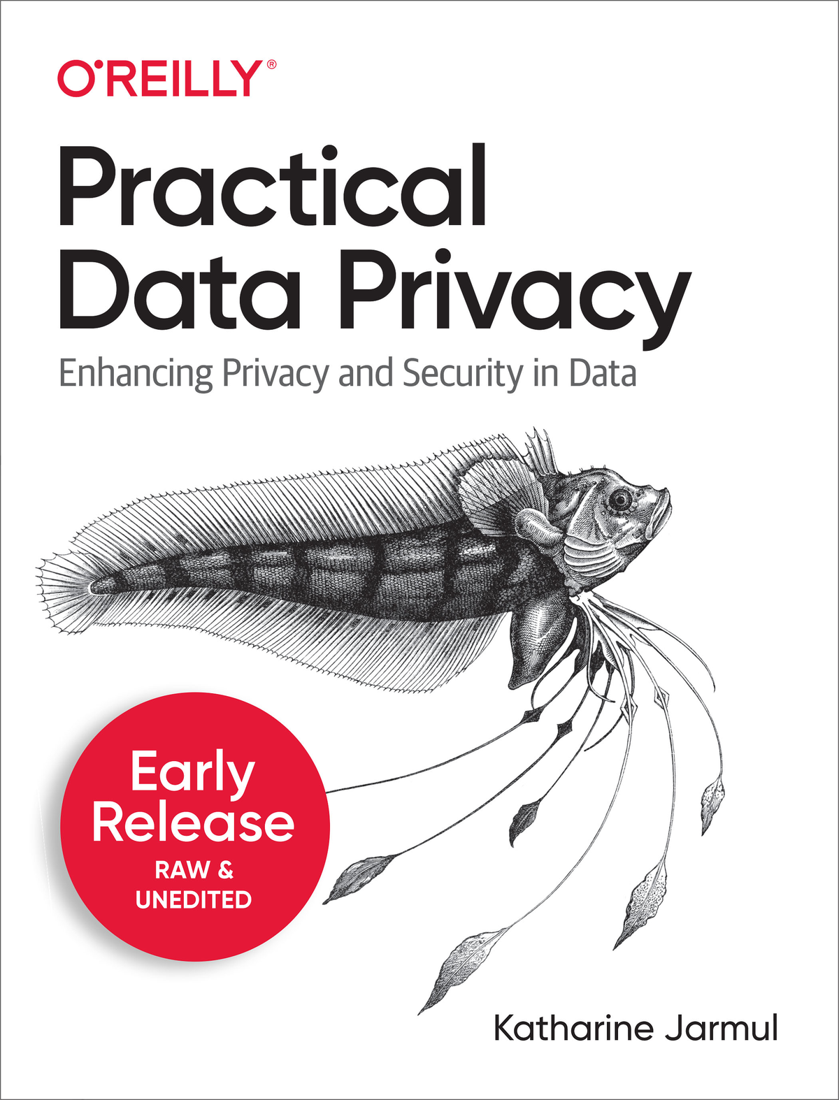 Practical Data Privacy by Katharine Jarmul Copyright 2023 Kjamistan Inc All - photo 1