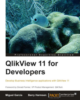 Barry Harmsen - QlikView 11 for Developers