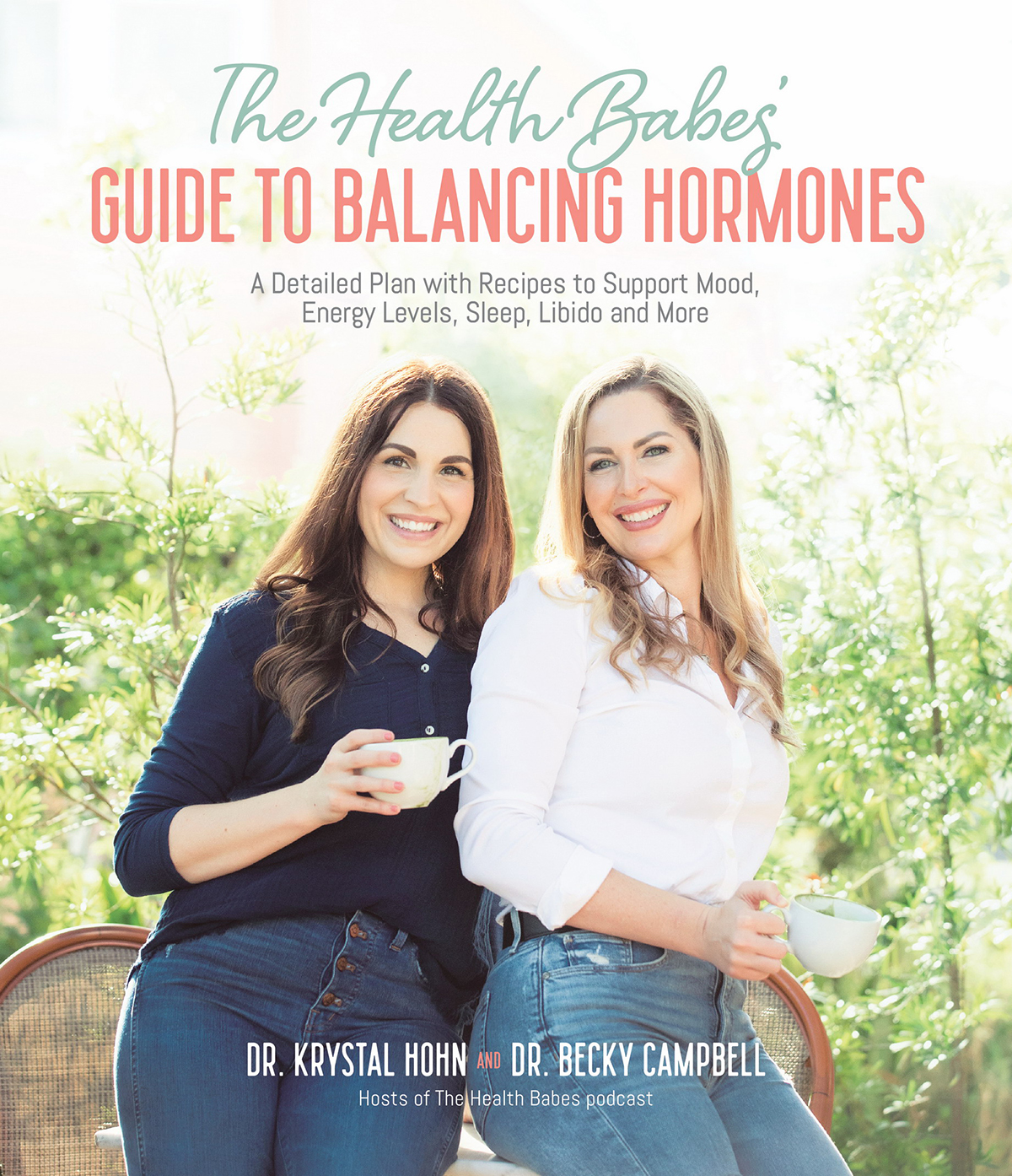 The Health Babes GUIDE TO BALANCING HORMONES A Detailed Plan with Recipes to - photo 1