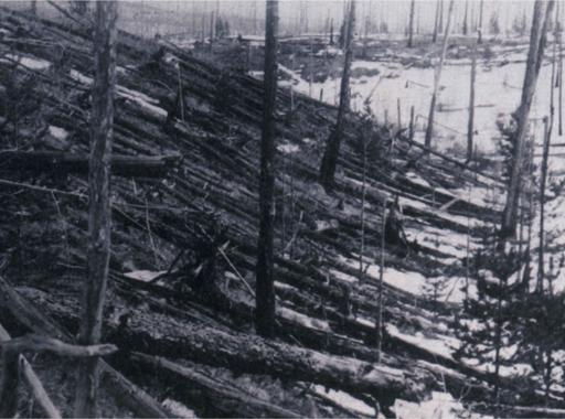 Science History Images Alamy Stock Photo The Tunguska airburst of 1908 is the - photo 10