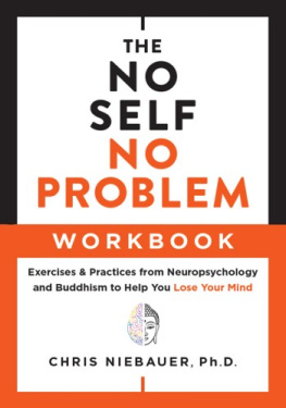 Chris Niebauer The No Self, No Problem Workbook