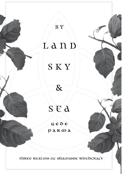 Llewellyn Publications Woodbury Minnesota By Land Sky Sea Three Realms - photo 3