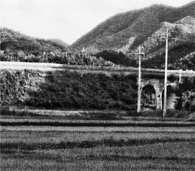 North Chungchong Province South Korea JULY 26 1950 Corporal Robert - photo 1