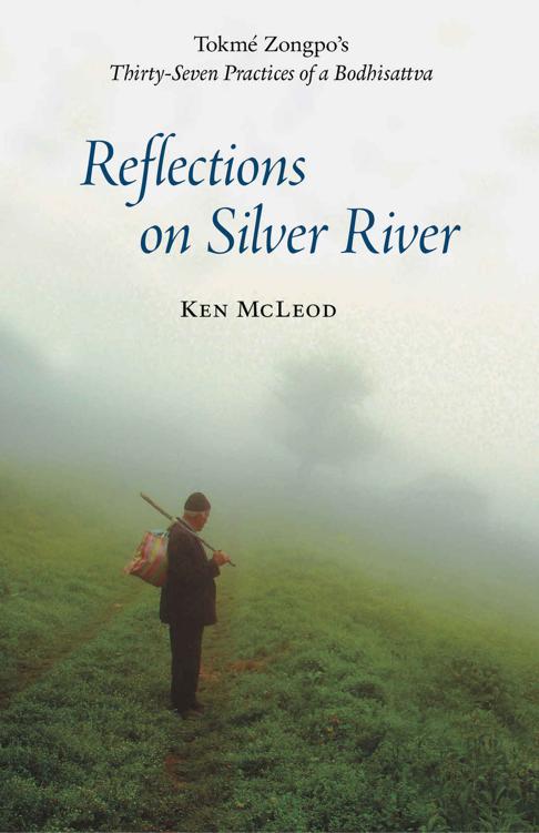 Reflections on Silver River Tokm Zongpos Thirty-Seven Practices of a - photo 1