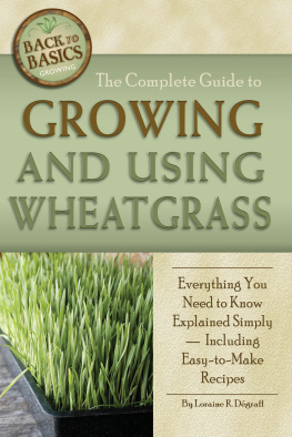 Loraine R. Dégraff The Complete Guide to Growing and Using Wheatgrass : Everything You Need to Know Explained Simply