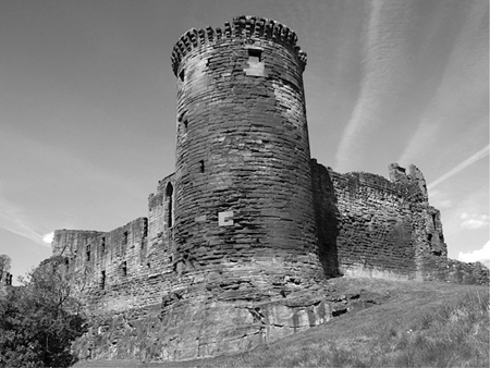 15 The castle of Bothwell Lanarkshire surrendered to Robert I by Walter Fitz - photo 20