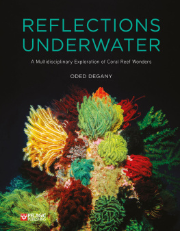 Oded Degany Reflections Underwater: A Multidisciplinary Exploration of Coral Reef Wonders