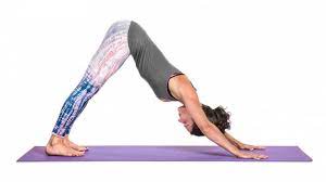 Adho Mukha Svanasana or descending confronting canine posture protracts and de- - photo 4