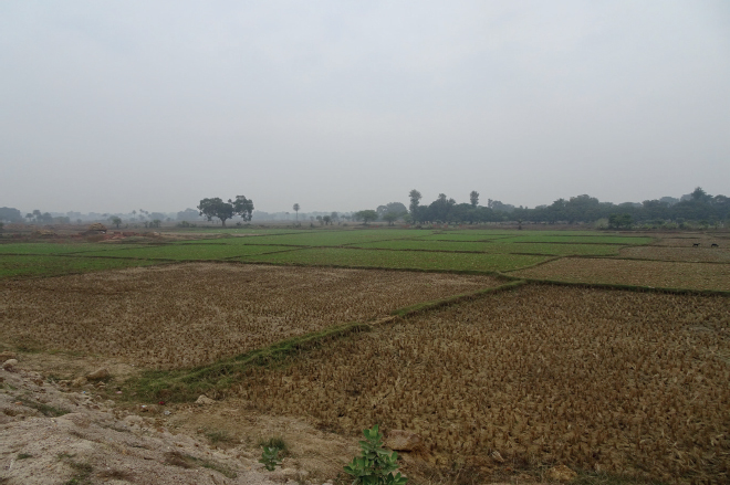 The plains between Godda and Bowsee now Bausi Bihar photographed during the - photo 14