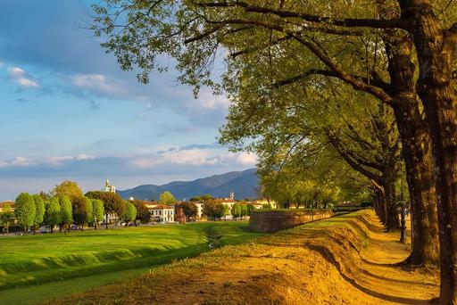 CRIS FOTOSHUTTERSTOCK Florence Tuscanys Top Experiences MARCO - photo 11