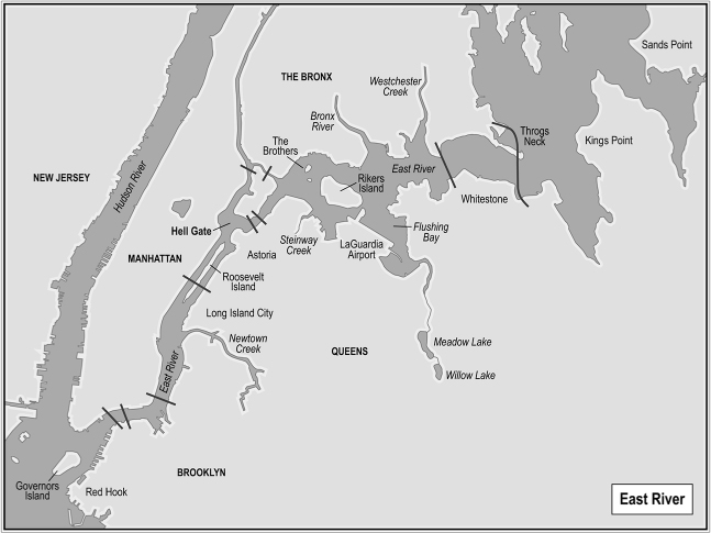 INTRODUCTION Views of Hell Gate Panorama Along the Manhattan side of the East - photo 5