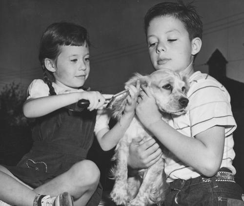 Jay and his sister Jan prettying up their dog for the camera Courtesy - photo 2