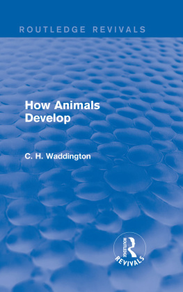 C. H. Waddington - How Animals Develop