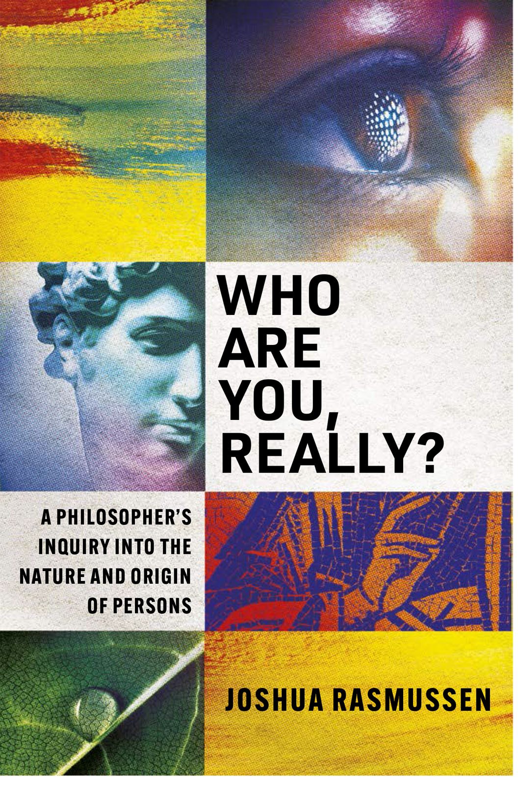 Who Are You Really A Philosophers Inquiry into the Nature and Origin of Persons - image 1