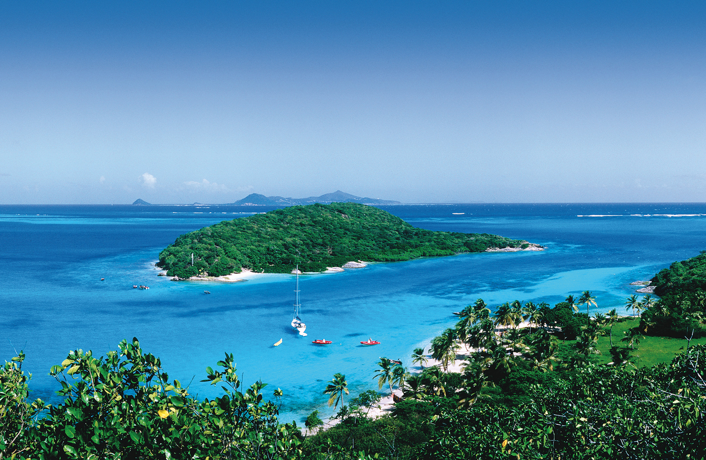 Island in the Tobago Cays St Vincent the Grenadines HOLGER LEUELONELY - photo 4