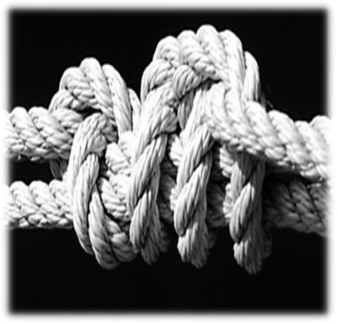 What is a Knot A knot can be described as a fastener that connects long - photo 1