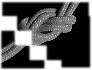 What is a Knot A knot can be described as a fastener that connects long - photo 3