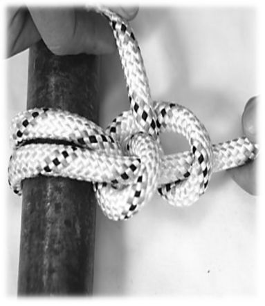 Easy to untie The effort used to untie knots after loading differs - photo 20