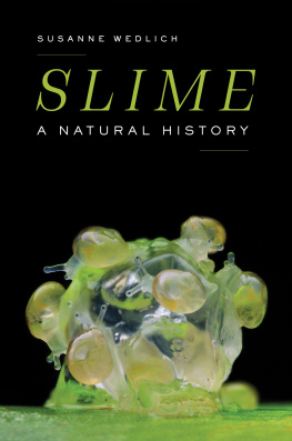 Susanne Wedlich - Slime: A Natural History