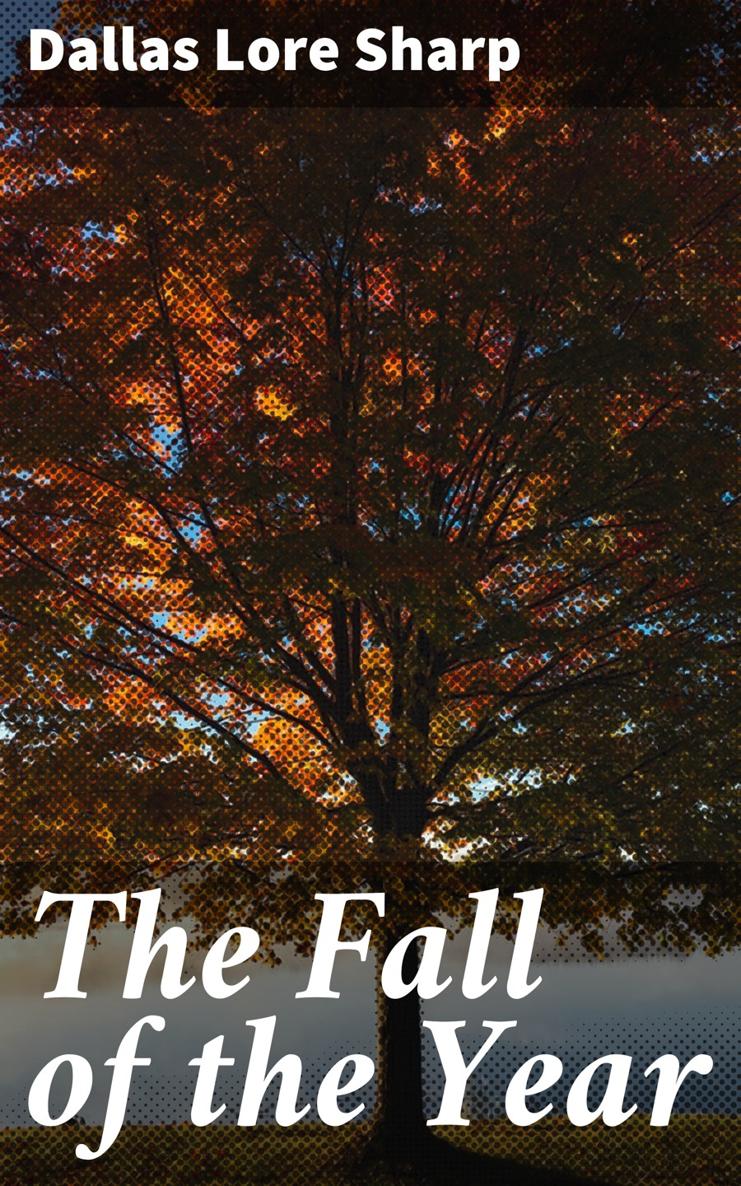 Dallas Lore Sharp The Fall of the Year Published by Good Press 2019 EAN - photo 1