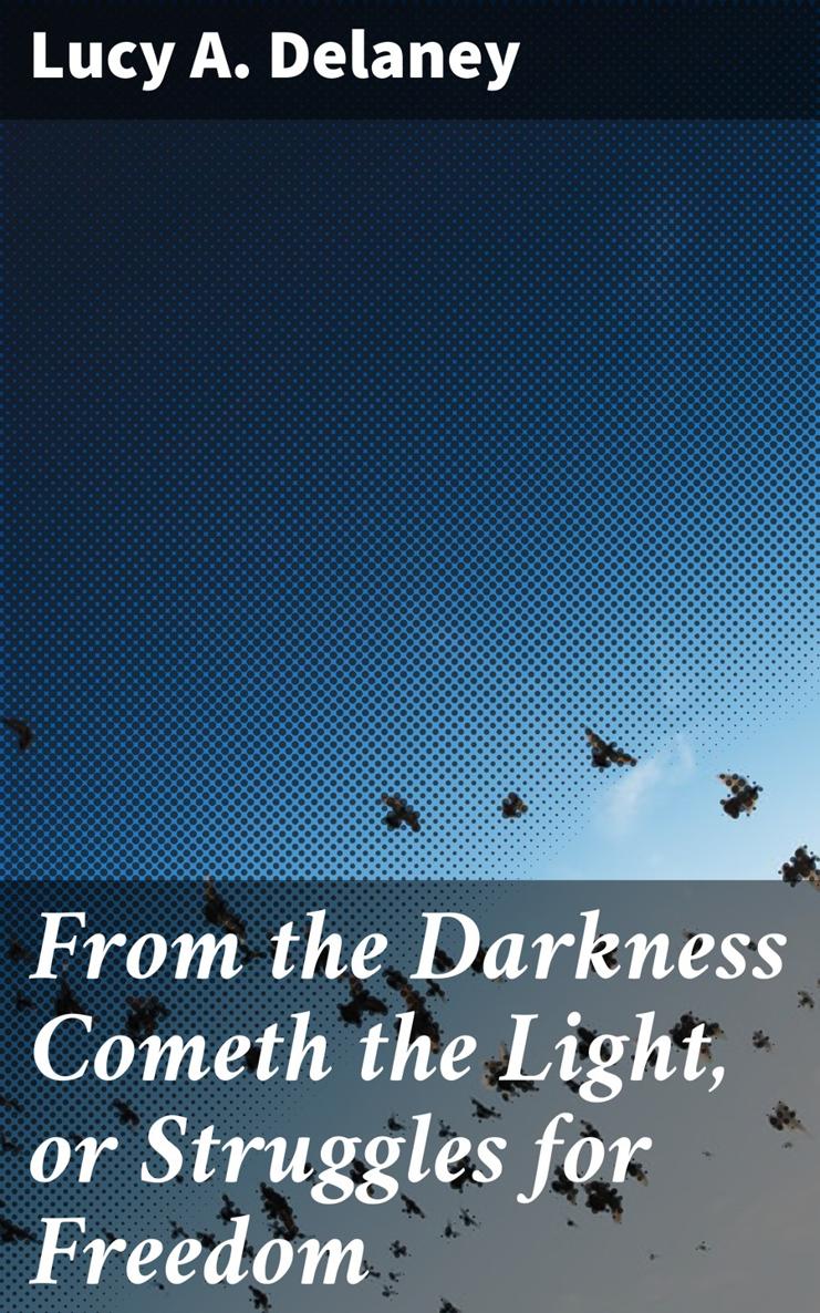 Lucy A Delaney From the Darkness Cometh the Light or Struggles for Freedom - photo 1