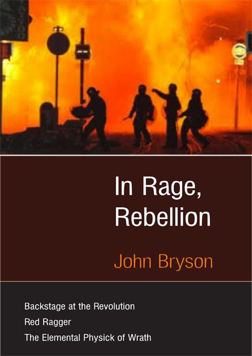 In Rage Rebellion John Bryson Published by John N Bryson First published - photo 1