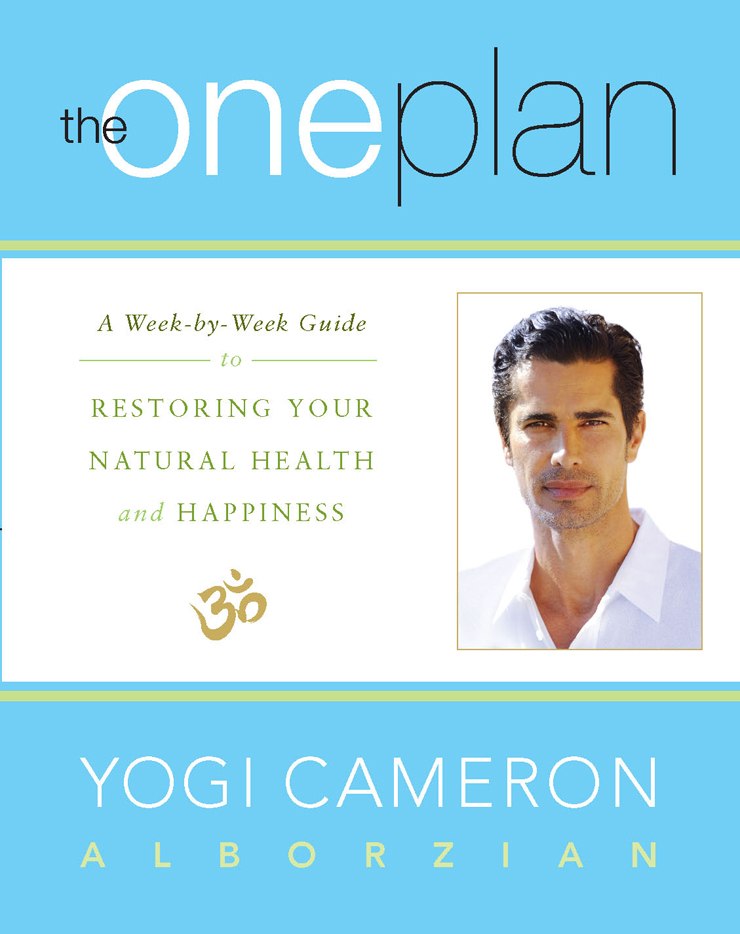 The One Plan A Week-by-Week Guide to Restoring Your Natural Health and Happiness - image 1