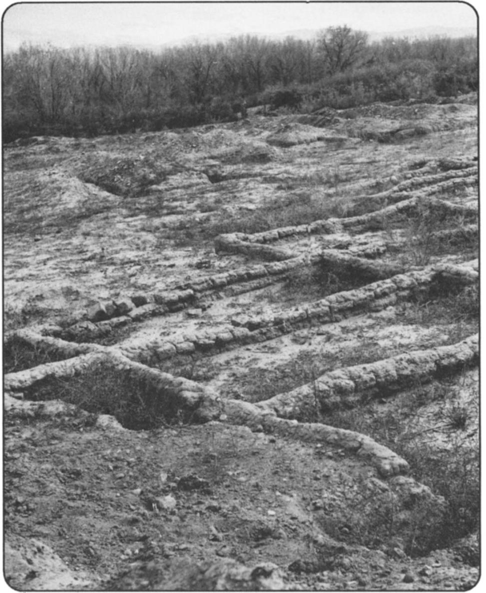 Figure 1 Excavated ruins of San Gabriel first Spanish capital in the - photo 2