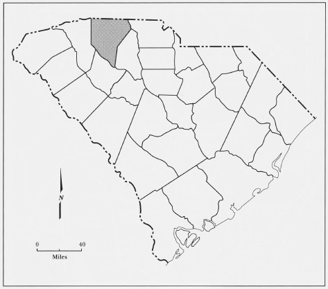 South Carolina Map by Philip N Racine prepared by Spartan Photo Center - photo 3