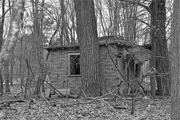 One of the Star Cabins located along the edge of Route 1 near Peabody - photo 4