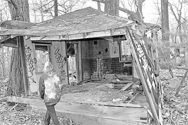 The interior of a Star Cabin my teenaged daughter refused to pose in the - photo 5