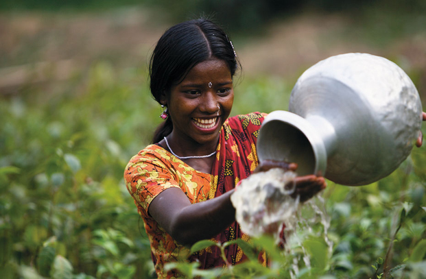 Watering Zareen Tea Estate TIM BARKER GETTY IMAGES TOP experiences - photo 4