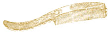 Moustache Comb This classic accessory features a small row of closely spaced - photo 7