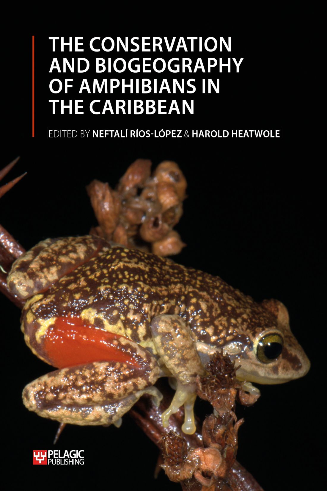 Amphibians in the Caribbean Dedication Stephen Blair Hedges in his late - photo 1